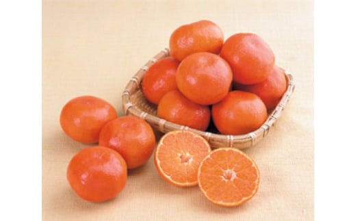 小原紅早生みかん「金時紅」約3kg ミカン 柑橘 糖度11度 甘い - 香川県