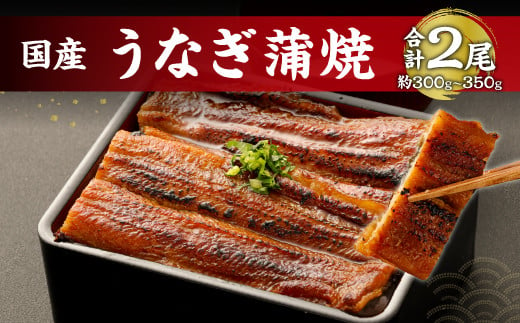 鹿児島産 鰻 蒲焼き 2本 約300～350g セット