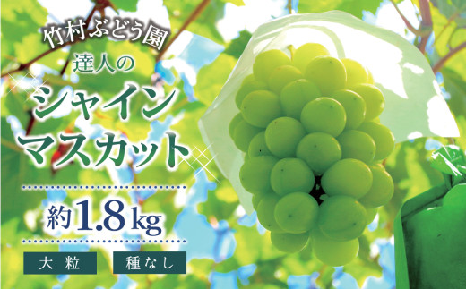 先行予約 竹村ぶどう園の極上完熟シャインマスカット 約1 8kg D72 宮崎県新富町 ふるさと納税 ふるさとチョイス