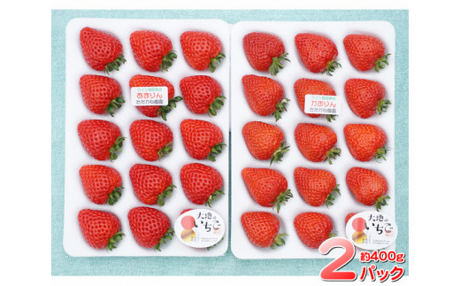 ん いちご あまり 埼玉県の新品種苺「あまりん」は果てしなく甘い！「かおり野」も良かったよ！