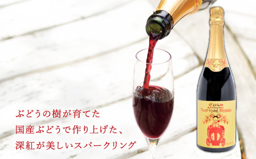 ぶどうの樹の スパークリング 赤ワイン 『トラットーレ・ロッソ』 750ml×1