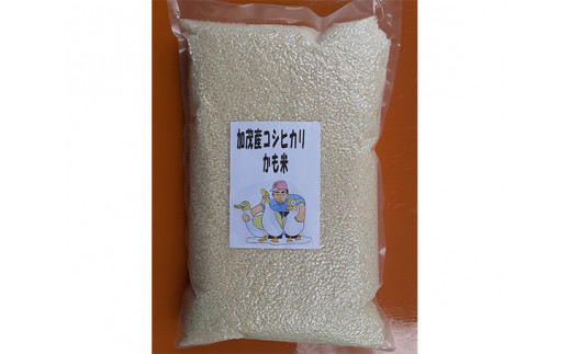 No 4 加茂産コシヒカリ かも米 真空パック 5kg お米 こしひかり 白米 精米 新潟県 特産品 新潟県加茂市 ふるさと納税 ふるさとチョイス