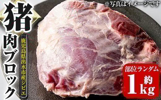 i335 [毎月数量限定]鹿児島県出水市産大幸猪肉のブロック[部位ランダム・約1kg]自宅でジビエ料理!牡丹鍋やカレー、BBQでも活躍!高タンパク・低カロリーで亜鉛・ビタミンB群が豊富なので健康に気を付けている方へおすすめ♪ 肉 猪肉 ジビエ ミンチ 料理 高タンパク 低カロリー 亜鉛 ビタミンB群 健康 焼肉 BBQ 牡丹鍋 煮込み料理 冷凍[大幸]