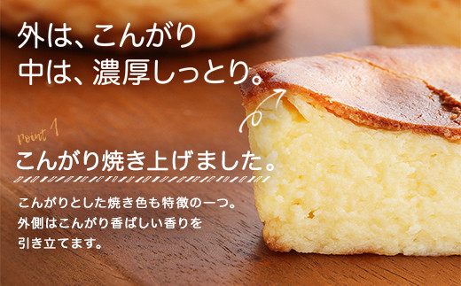 Ic バスクチーズ ケーキ 60mm 24個 セット スイーツ 冷凍 熊本県益城町 ふるさと納税 ふるさとチョイス