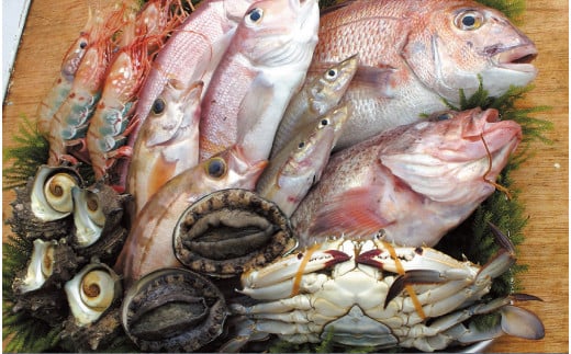 四季折々、豊富に水揚げされる酒田港直送の魚介類