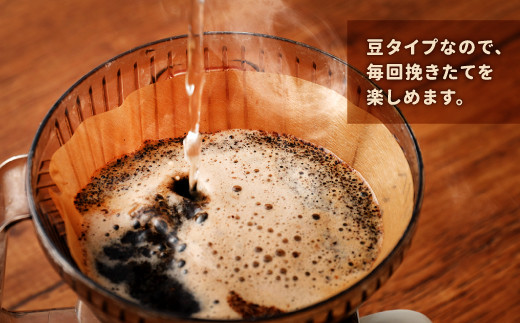 12_5-05 ジョージア コーヒー 豆 250g×3種 セット 珈琲