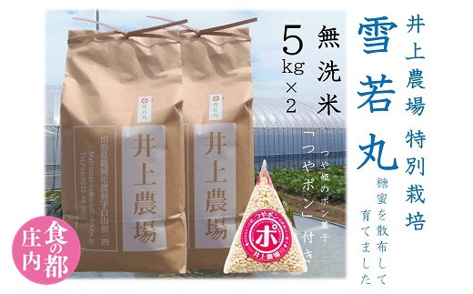 食の都庄内　【令和6年産・無洗米（精米）】特別栽培米雪若丸5kg×2袋　つやポン付《井上農場》