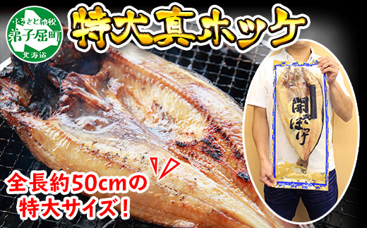 361 北海道産 特大 真ホッケ 約1kg 1尾 北海道 干物 ほっけ 焼き魚 北海道弟子屈町 ふるさと納税 ふるさとチョイス