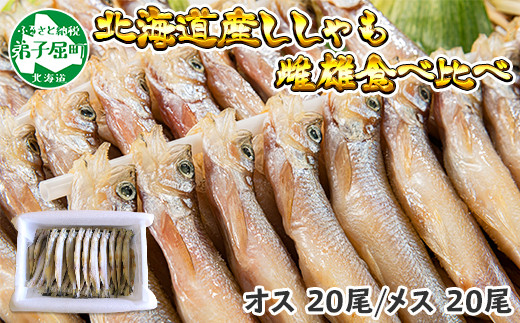 370 北海道産 ししゃも 雌雄 食べ比べ セット 40尾 シシャモ 海鮮 魚介 北海道弟子屈町 ふるさと納税 ふるさとチョイス