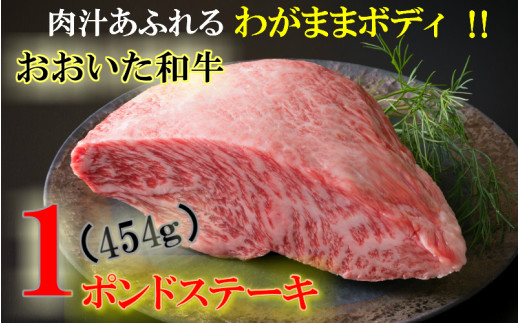 9365 まさに肉のエアーズロック おおいた和牛１ポンド極厚ステーキ 通 大分県国東市 ふるさと納税 ふるさとチョイス