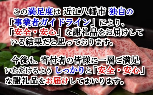 ４等級以上 極上近江牛焼肉セット モモ バラ 800g モモ400ｇバラ400ｇ Cb05sm 滋賀県近江八幡市 ふるさと納税 ふるさとチョイス