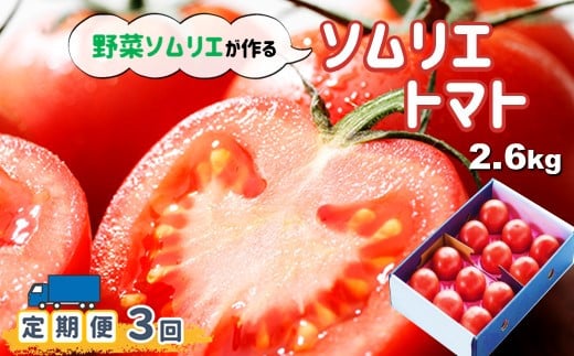  【定期便】ソムリエトマト (トマト2.6kg)×3ヶ月 320518 - 熊本県玉名市