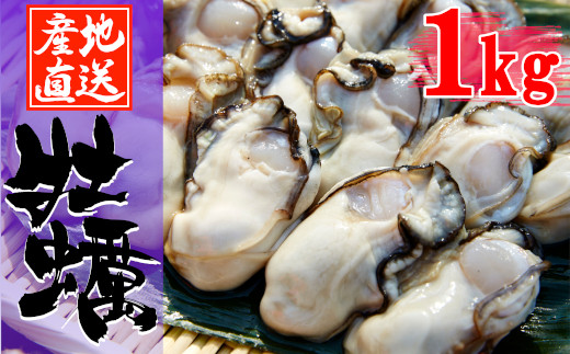 栄養満点　広田湾牡蠣1kg
