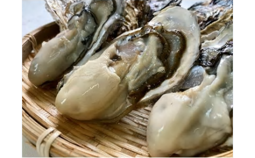 生食用】深層水仕込みの殻付き真牡蠣 10個セット - 富山県入善町