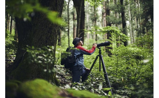 SIGMA 150-600mm F5-6.3 DG OS HSM | Contemporary キヤノンEF