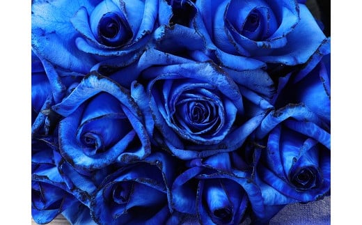 G06 生産者直送 バラの花束 神秘的な青い染めバラ10本 新潟県新発田市 ふるさと納税 ふるさとチョイス