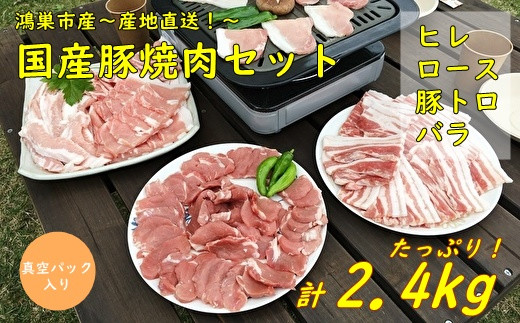 D 8 国産豚焼肉セット2 4kg ヒレ ロース 豚トロ バラ 埼玉県鴻巣市 ふるさと納税 ふるさとチョイス