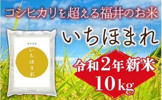 1173 令和二年産新米 福井県産いちほまれ10kg