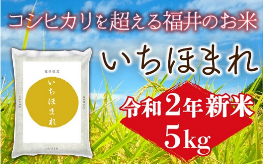 1172 令和二年産新米 福井県産いちほまれ5kg 福井県福井市 ふるさと納税 ふるさとチョイス 1172 令和二年産新米 福井県産いちほまれ5kg 福井県福井市 ふるさと納税 ふるさとチョイス