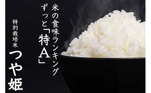 特別栽培米 10年連続特aランク 厳選つや姫 10kg 5kg 2袋 年産 0 C03 山形県寒河江市 ふるさと納税 ふるさとチョイス