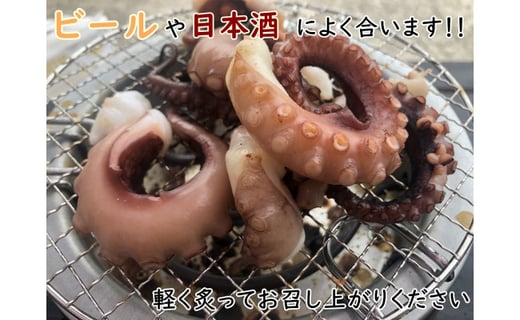 南知多産 茹でたこ 真蛸の干物セット 愛知県南知多町 ふるさと納税 ふるさとチョイス