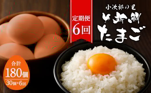 【6ヶ月定期便】鶏卵 30ヶ入×6回 合計180個