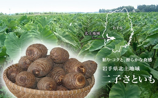北上市二子地区で栽培されている里芋は独特の粘り、コクがあり秋の特産品として親しまれています