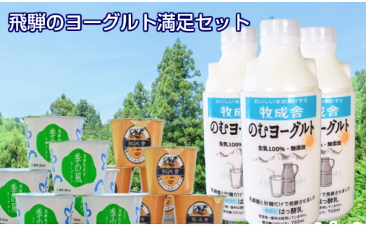 牧成舎 飛騨の牛乳屋 ヨーグルト3種よりどりセット A568 岐阜県高山市 ふるさと納税 ふるさとチョイス