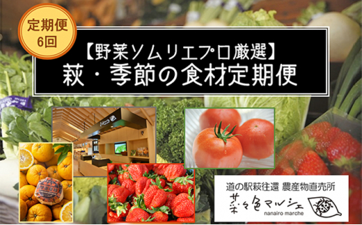 5226 0032 野菜ソムリエプロ厳選 萩 季節の食材定期便 6回コース 山口県萩市 ふるさと納税 ふるさとチョイス