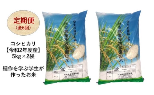 数量限定 定期便 隔月お届け 全6回 コシヒカリ 5 2袋 令和2年産 茨城県水戸市 ふるさと納税 ふるさとチョイス