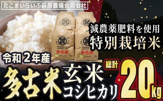 Tkoc4 001 特別栽培米 多古米 コシヒカリ 玄米 kg 千葉県多古町 ふるさと納税 ふるさとチョイス