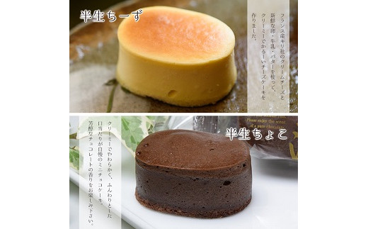 A 519 ふわっふわのスフレタイプのプチケーキ 半生チーズ 半生ちょこ詰合せ 鹿児島県いちき串木野市 ふるさと納税 ふるさとチョイス