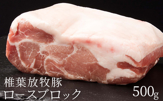 画像はイメージです