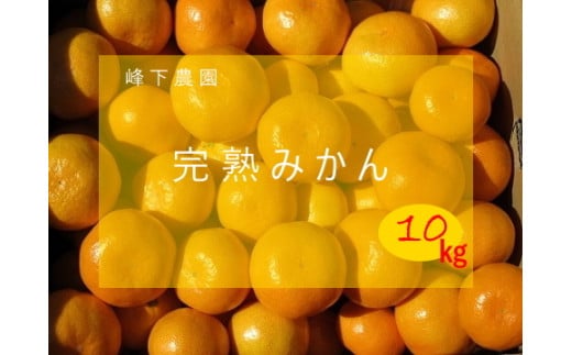 N-49 峰下農園の完熟みかん　１０ｋｇ 394102 - 佐賀県太良町