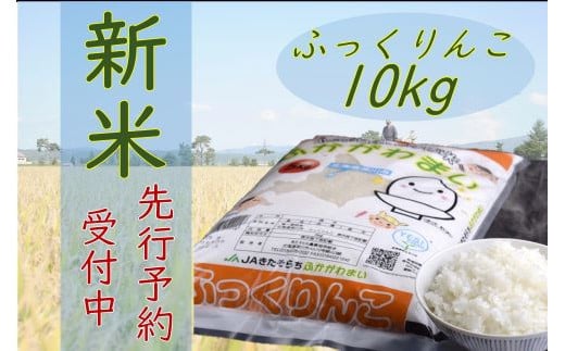 北海道深川産米 ふっくりんこ 10kg 5kg 2袋セット 北海道深川市 ふるさと納税 ふるさとチョイス