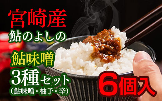 鮎味噌３種セット（６個入り）＜1-175＞【３月11日終了】