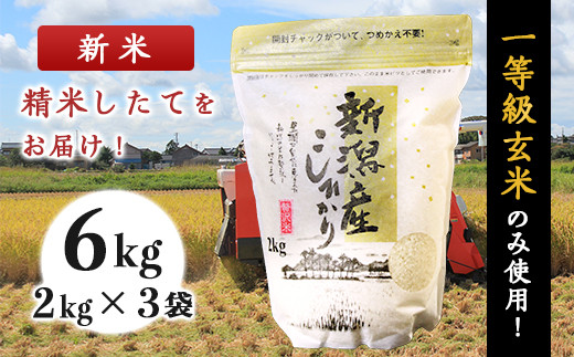 新潟県産コシヒカリ6kg(2kg×3袋)