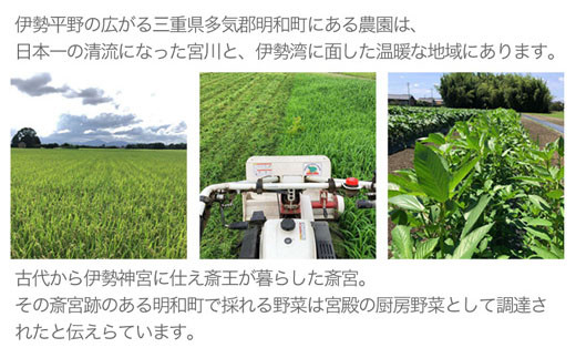 伊勢平野の広がる明和町にある農園は、日本一の清流になった宮川と、伊勢湾に面した温暖な地域にあります。
