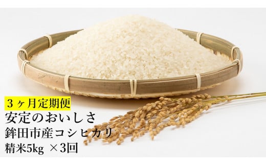 【3ヶ月定期便】安定のおいしさ　鉾田市産コシヒカリ　精米5kg×3回