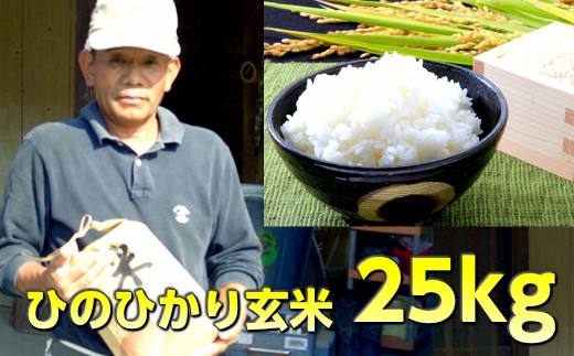 ひのひかり 玄米 25kg 【200pt】(お礼の品をもらう) 771857 - 長崎県大村市