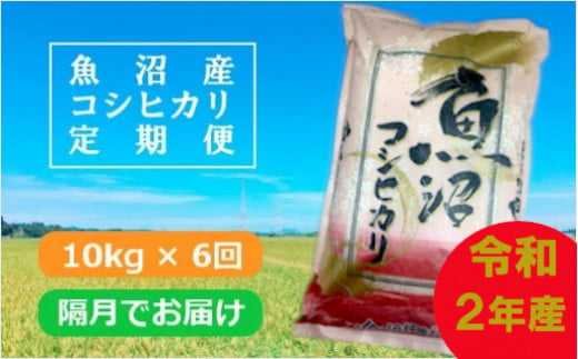 魚沼産コシヒカリ定期便 10kg 6回 隔月でお届け Ja越後おぢや 新潟県小千谷市 ふるさと納税 ふるさとチョイス