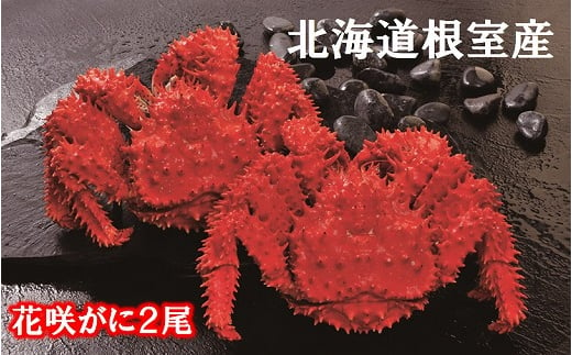 B-01027 【北海道根室産】花咲がに500g×2尾