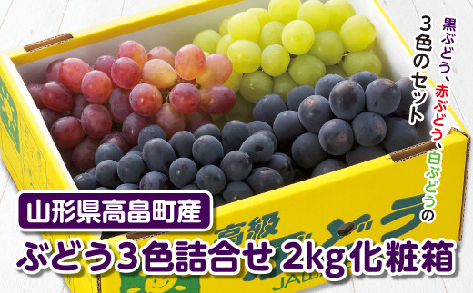 先行予約 ぶどう3色詰め合わせ 2kg Fb 134 山形県高畠町 ふるさと納税 ふるさとチョイス