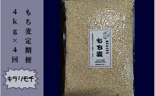 もち麦 キラリモチ 定期便 4kg × 4回 | もち麦 キラリモチ 定期便 永石さんちのもち麦 4kg × 4回