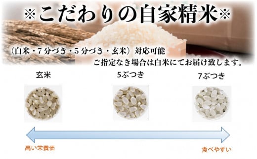 令和5年産新米】あきさかり 5kg～坂井市三国町産・こだわりの精米対応