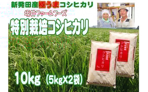 D34【令和４年産】坂井ファーム特別栽培米コシヒカリ5㎏×2袋