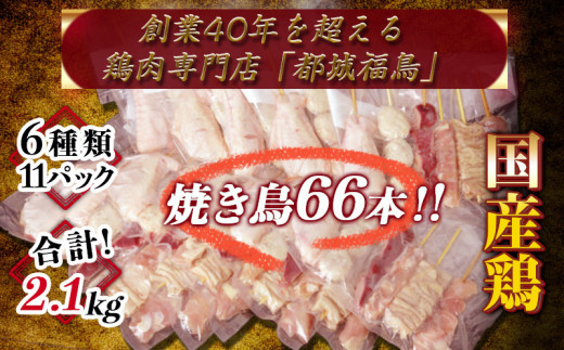 職人串打ちの本格焼き鳥66本 Mj 3312 宮崎県都城市 ふるさと納税 ふるさとチョイス