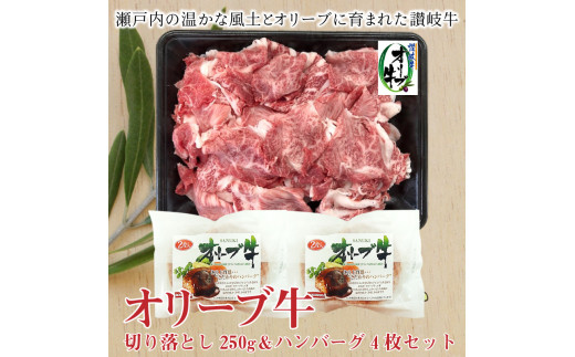 ふるさと納税で支援 オリーブ牛切り落とし250g ハンバーグ4枚セット 香川県三豊市 ふるさと納税 ふるさとチョイス