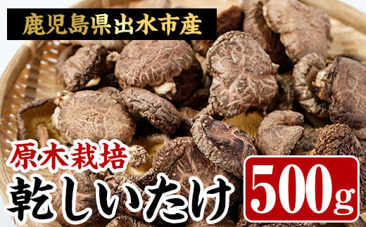 トラコさま専用 大分名産 希少な花どんこ椎茸ダブル tekavoul.gov.mr