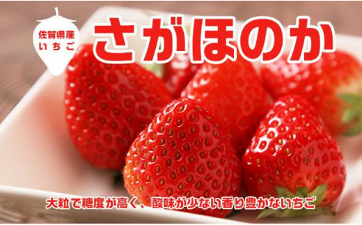 AE016 たっぷり！！キンド酵素栽培いちご【さがほのか２７０ｇ×８パック】数量限定！！